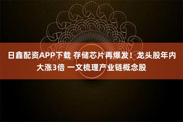 日鑫配资APP下载 存储芯片再爆发！龙头股年内大涨3倍 一文梳理产业链概念股