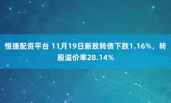 恒捷配资平台 11月19日新致转债下跌1.16%，转股溢价率28.14%